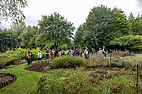 Visite d'un jardin au Conservatoire botanique national de Bailleul