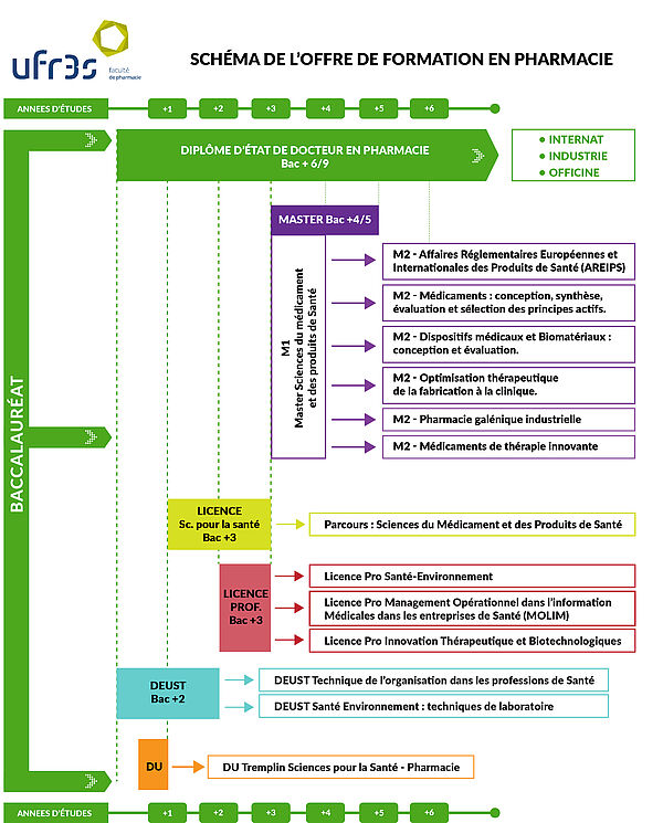 schema offre de formation en pharmacie