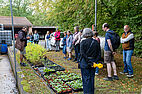 Visite d'un jardin au Conservatoire botanique national de Bailleul