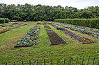 Visite d'un jardin au Conservatoire botanique national de Bailleul