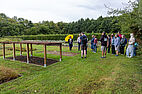 Visite d'un jardin au Conservatoire botanique national de Bailleul