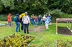 Jardin du Conservatoire botanique national de Bailleul