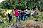 Visite d'un jardin au Conservatoire botanique national de Bailleul sous la pluie