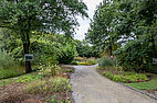 Jardin au Conservatoire botanique national de Bailleul sous la pluie