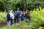 Visite d'un jardin au Conservatoire botanique national de Bailleul sous la pluie