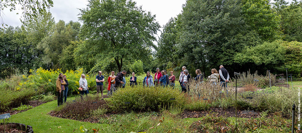 Visite des jardins du Conservatoire botanique national de Bailleul
